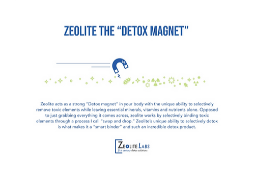 The Ultimate Zeolite Experience | ZeoCharge 20-Pack