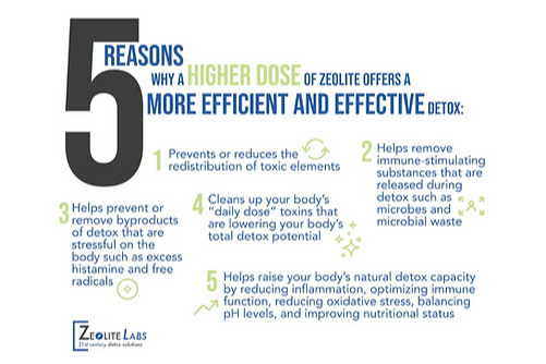 The Ultimate Zeolite Experience | ZeoCharge 20-Pack